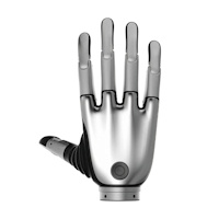 Hands